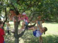 /album/kepgaleria-/tabor-2012-07-020-jpg/